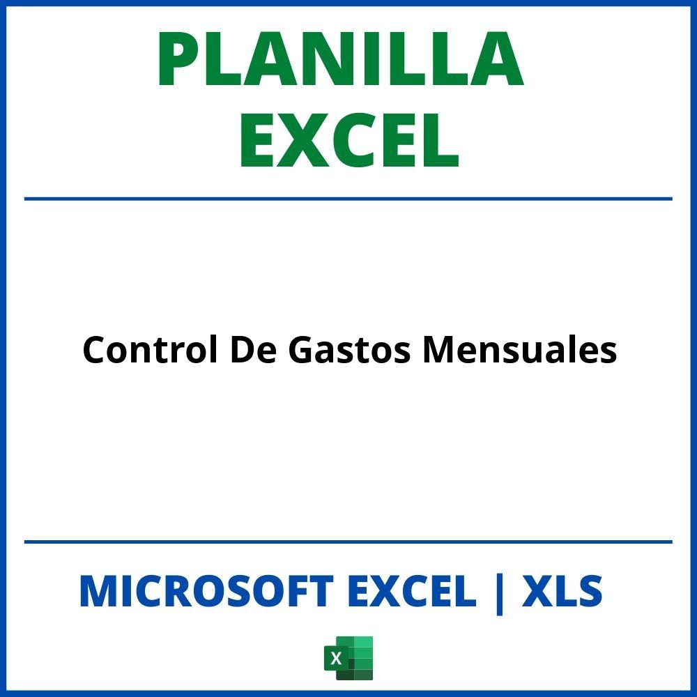 Planilla Excel Control De Gastos Mensuales